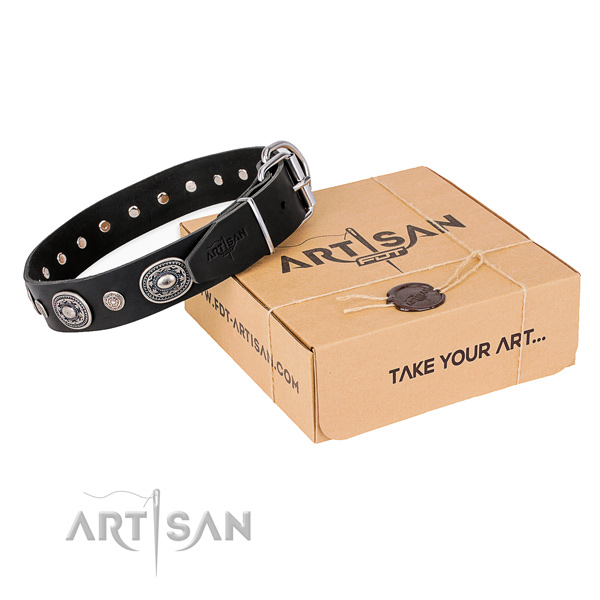 Best quality genuine leather dog collar handcrafted for everyday walking