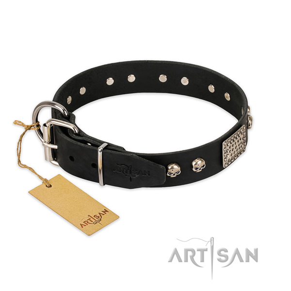 Rust-proof buckle on daily walking dog collar