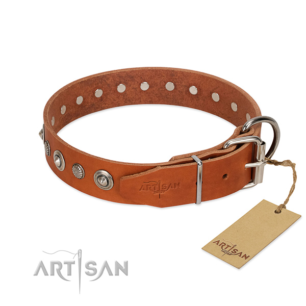 Finest quality full grain genuine leather dog collar with trendy adornments