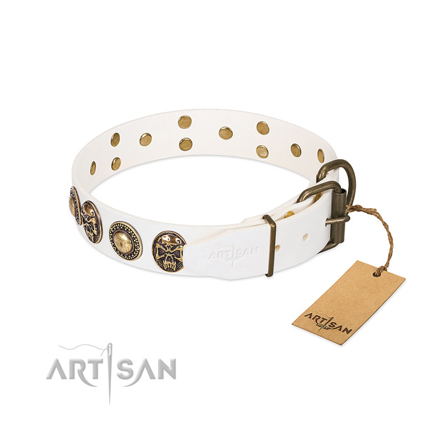Rust-proof traditional buckle on everyday walking dog collar