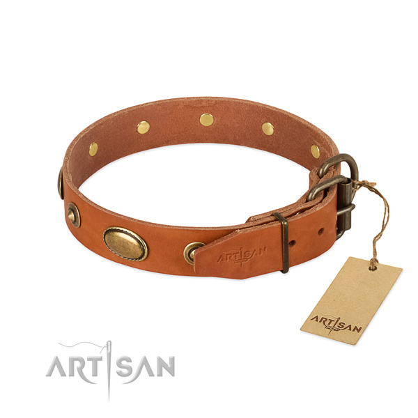 Rust resistant embellishments on full grain natural leather dog collar for your dog