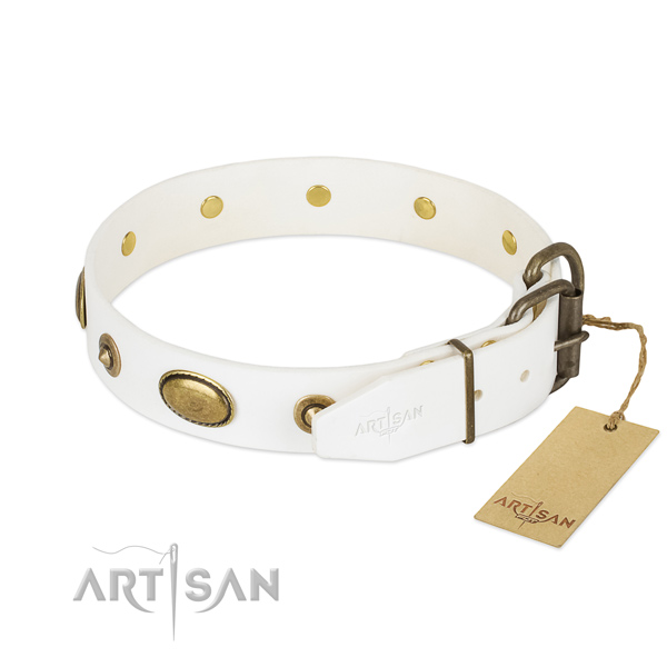 Rust-proof embellishments on leather dog collar for your dog