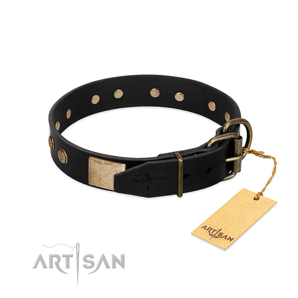 Rust resistant D-ring on daily use dog collar