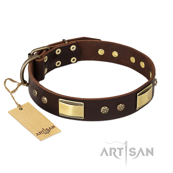 Full grain leather dog collar with durable hardware and decorations