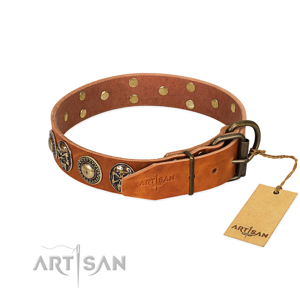 Corrosion proof embellishments on easy wearing dog collar