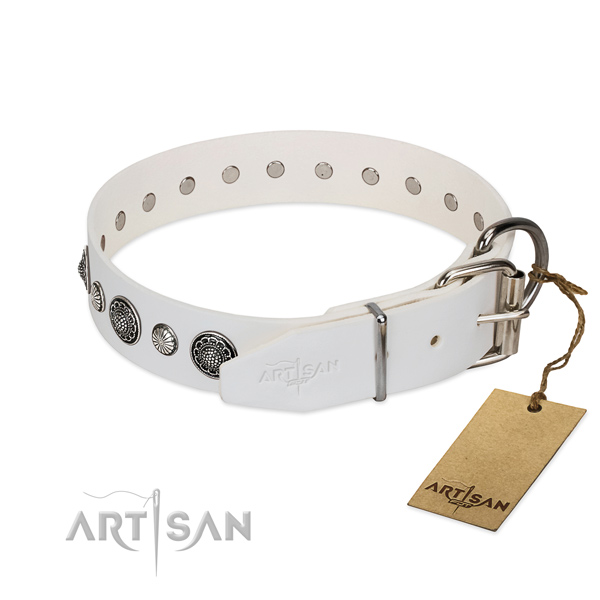Quality leather dog collar with rust resistant fittings