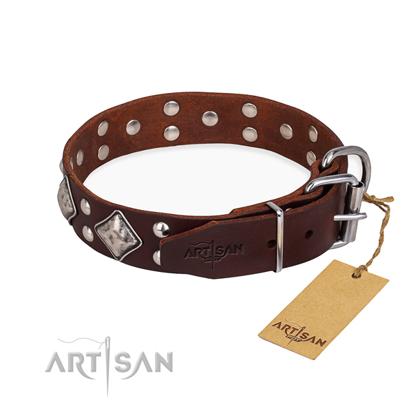 Full grain genuine leather dog collar with amazing rust resistant adornments