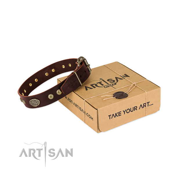 Rust resistant decorations on Genuine leather dog collar for your doggie