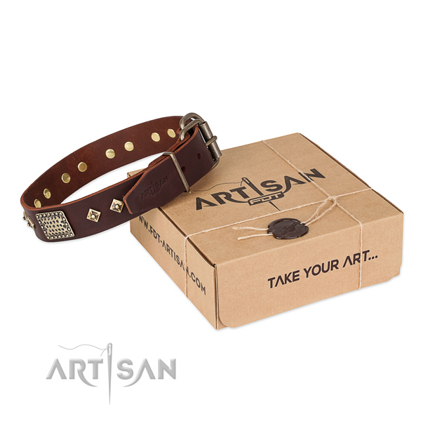 Amazing full grain natural leather collar for your beautiful four-legged friend