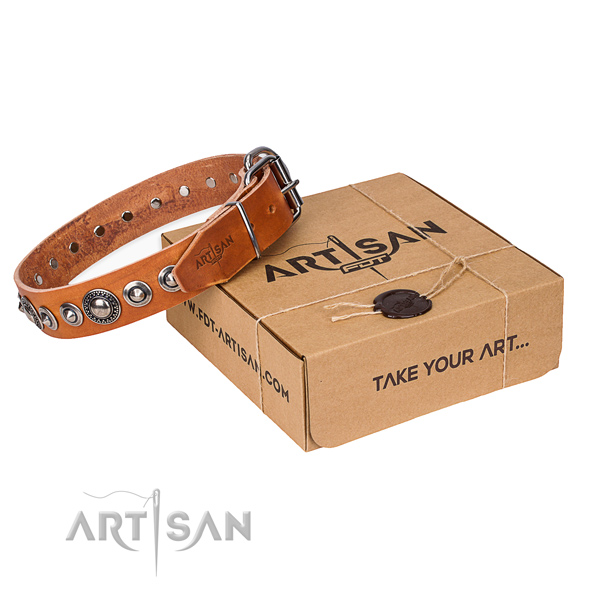 Leather dog collar made of quality material with rust resistant hardware