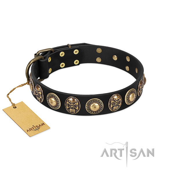 Adjustable genuine leather dog collar for stylish walking your dog