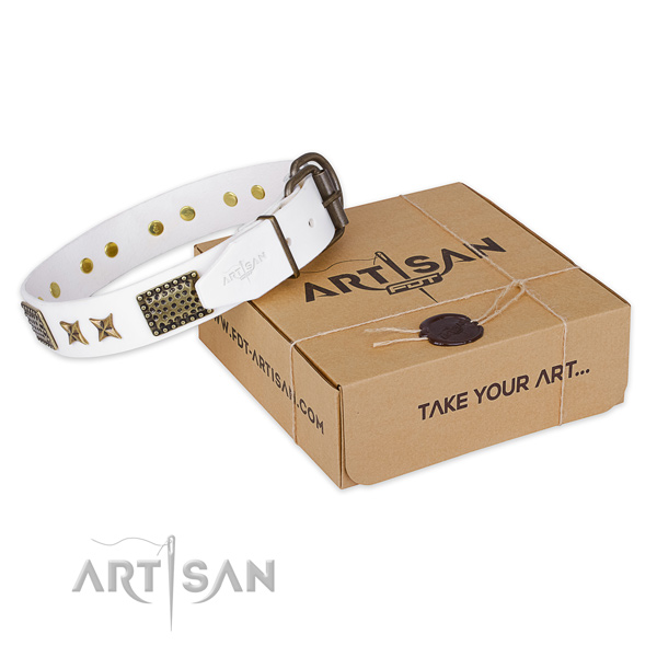 Corrosion proof hardware on leather collar for your attractive dog