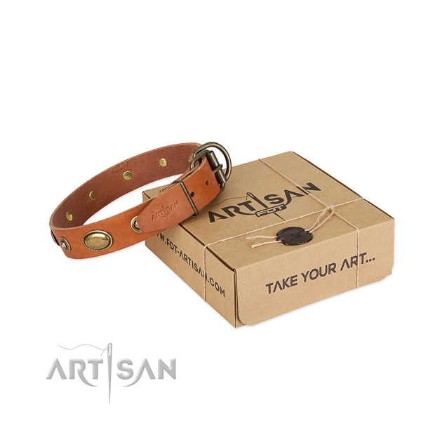 Rust-proof embellishments on leather dog collar for your canine