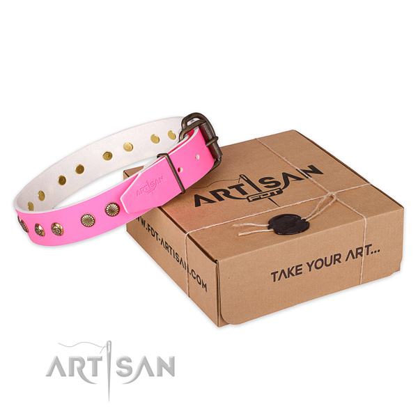 Strong hardware on leather collar for your attractive doggie