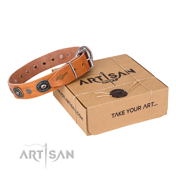 Gentle to touch full grain leather dog collar made for basic training