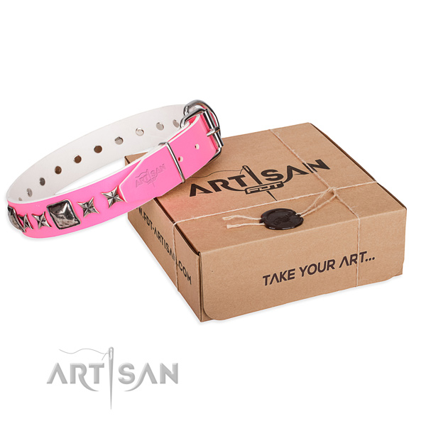 Stylish walking full grain natural leather dog collar with adornments