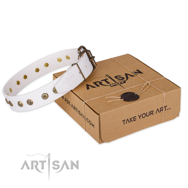 Durable hardware on genuine leather collar for your handsome canine