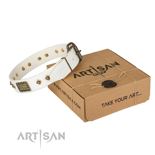 Incredible leather collar for your beautiful canine