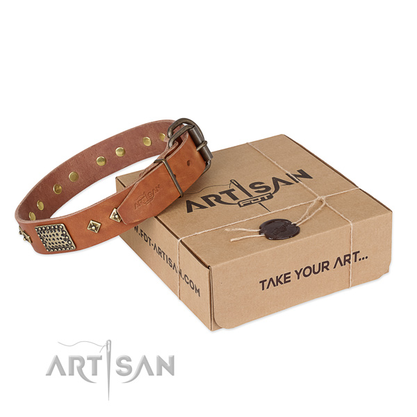 Fine quality leather collar for your stylish pet