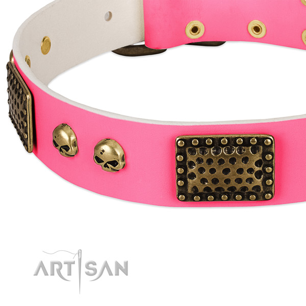 Corrosion proof traditional buckle on full grain leather dog collar for your dog