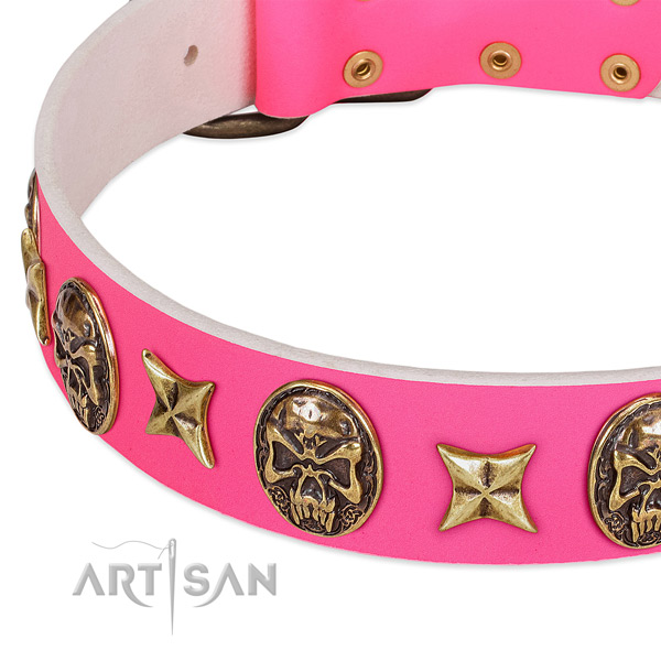 Genuine leather dog collar with incredible embellishments
