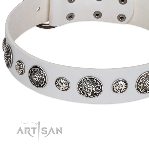 Natural leather collar with strong traditional buckle for your beautiful four-legged friend