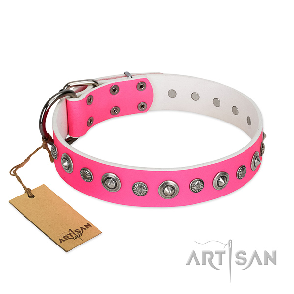 Top quality genuine leather dog collar with exceptional decorations