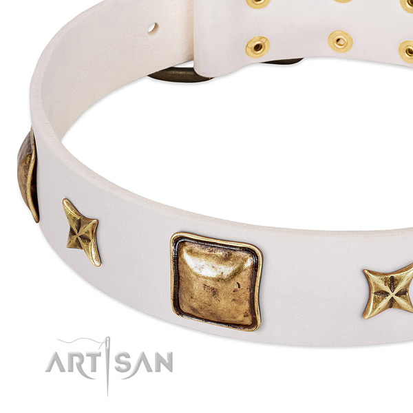Corrosion proof decorations on full grain leather dog collar for your dog