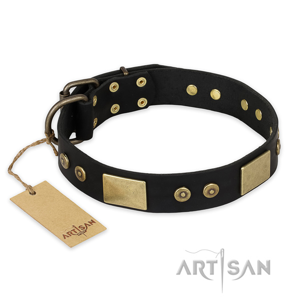 Designer full grain leather dog collar for stylish walking