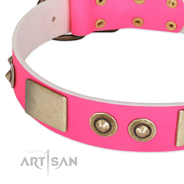 Rust resistant adornments on genuine leather dog collar for your doggie