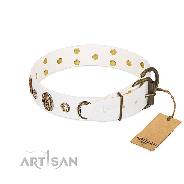 Rust-proof hardware on leather collar for basic training your canine