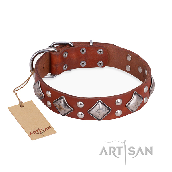 Stylish walking easy wearing dog collar with corrosion resistant traditional buckle