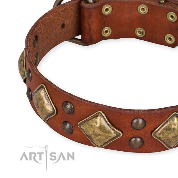 Full grain genuine leather collar with rust-proof hardware for your handsome four-legged friend