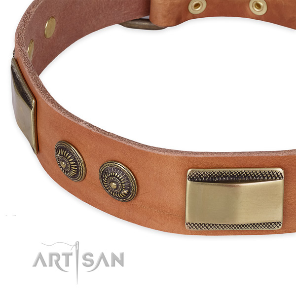 Rust-proof adornments on full grain genuine leather dog collar for your four-legged friend