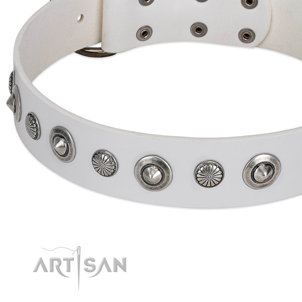 Leather collar with corrosion resistant fittings for your attractive doggie