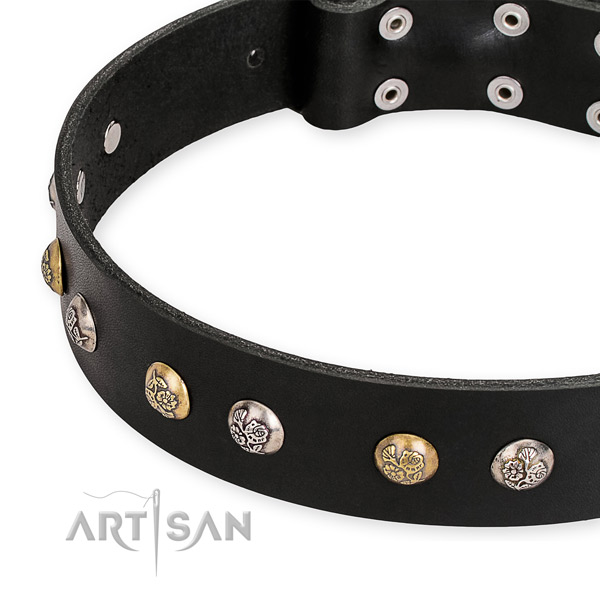 Full grain genuine leather dog collar with significant reliable adornments