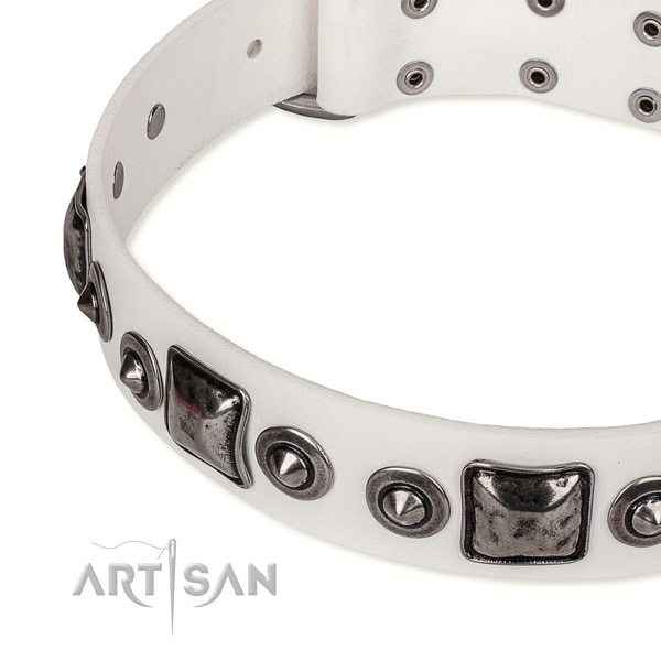 High quality natural genuine leather dog collar made for your handsome dog