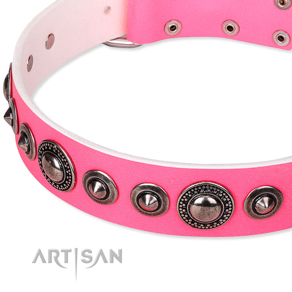 Stylish walking studded dog collar of fine quality full grain leather