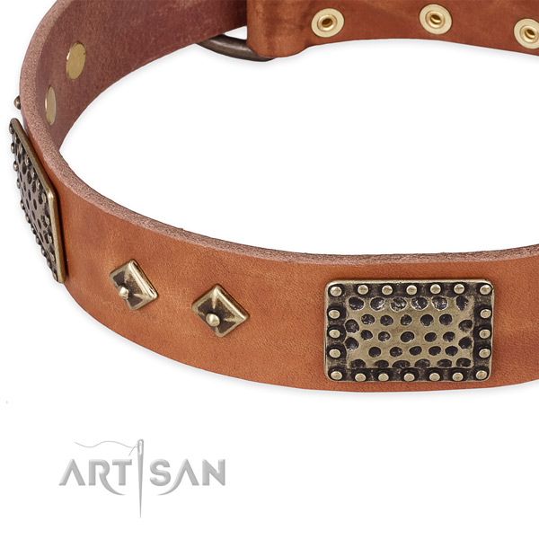 Corrosion proof studs on full grain natural leather dog collar for your dog