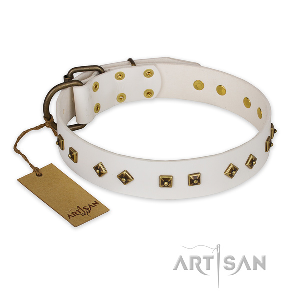 Impressive genuine leather dog collar with rust resistant traditional buckle