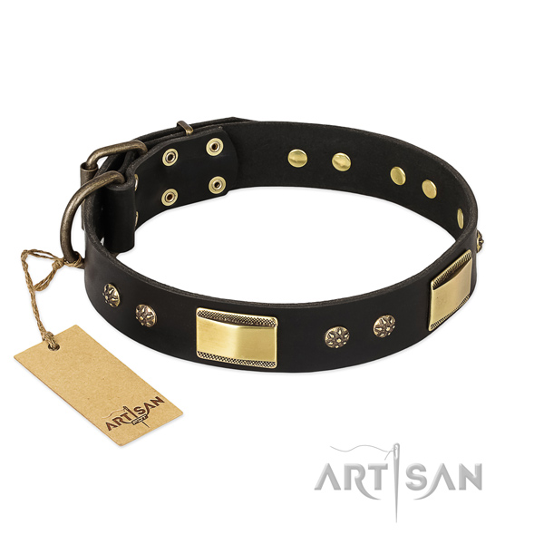 Remarkable full grain natural leather collar for your dog