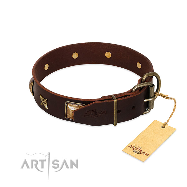 Full grain leather dog collar with corrosion proof fittings and adornments