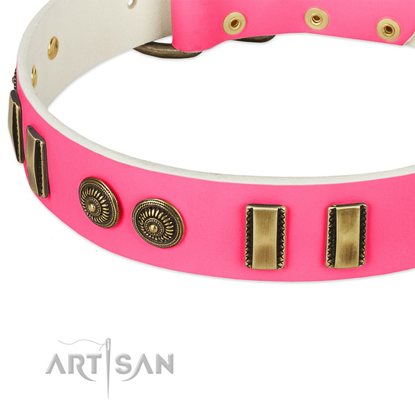 Durable embellishments on genuine leather dog collar for your canine