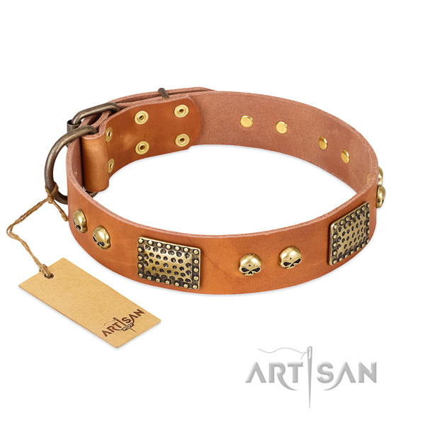 Easy to adjust natural leather dog collar for daily walking your four-legged friend