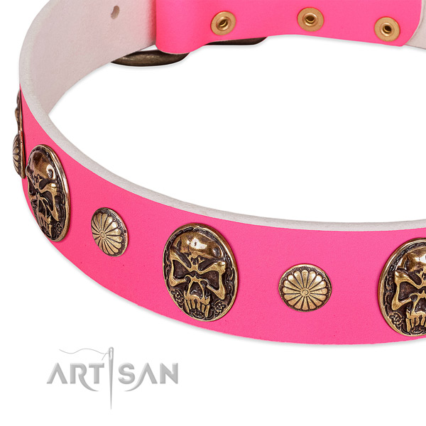 Corrosion resistant hardware on leather dog collar for your dog