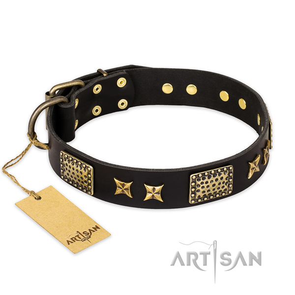 Incredible full grain natural leather dog collar with rust-proof hardware