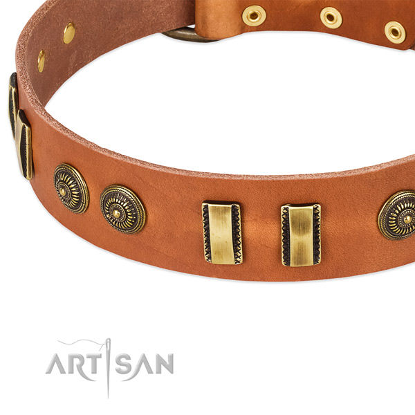 Rust resistant buckle on full grain leather dog collar for your dog