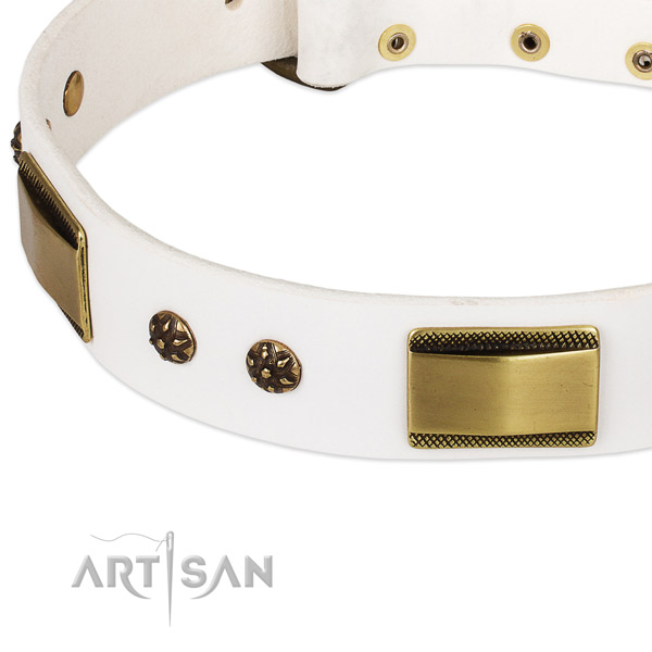 Rust-proof traditional buckle on natural genuine leather dog collar for your doggie