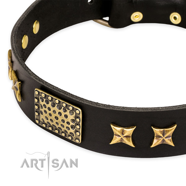 Genuine leather collar with reliable D-ring for your stylish dog