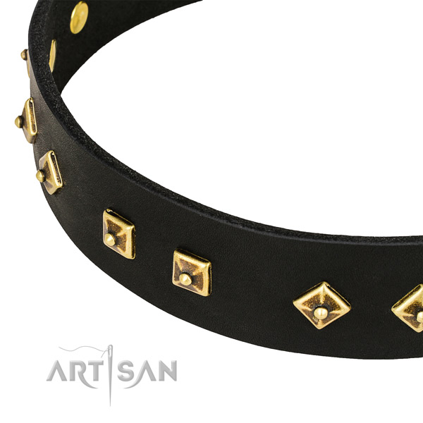 Amazing full grain leather collar for your impressive dog